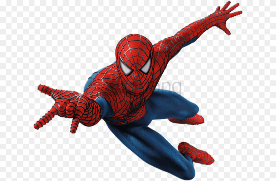 Spider Man Spiderman Cartoon Hd, Adult, Male, Person Png Image