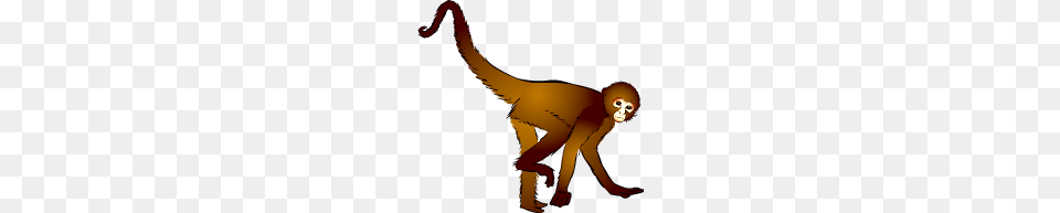 Spider Monkey Clipart, Animal, Adult, Female, Person Free Png Download