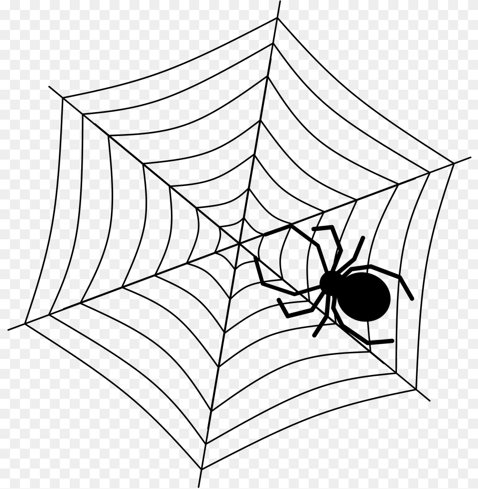 Spider Net, Gray Png