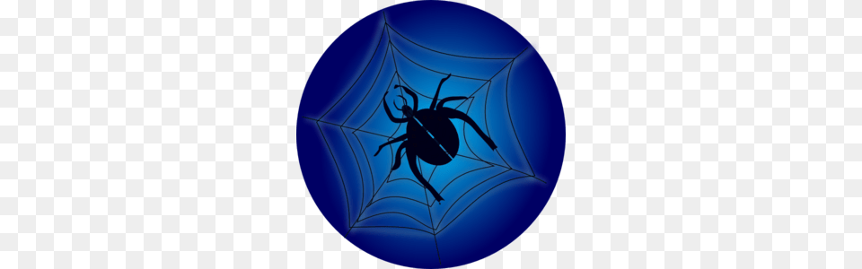 Spider On Web Clip Art, Spider Web, Animal, Invertebrate Free Transparent Png