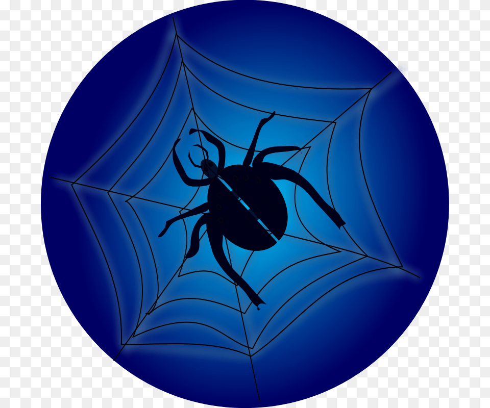 Spider On Web Spider, Spider Web, Animal, Invertebrate Free Png