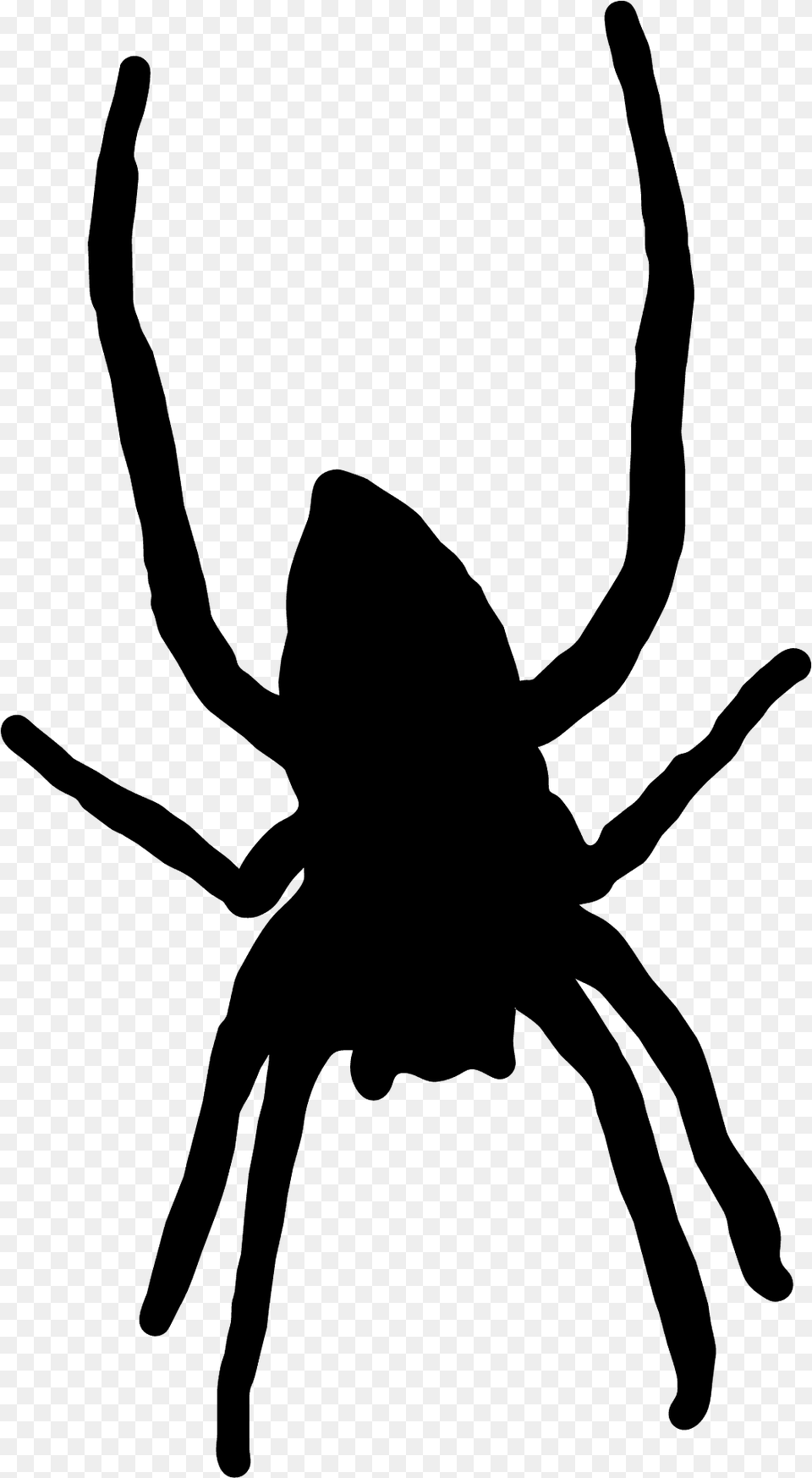Spider Silhouette, Animal, Invertebrate, Person Free Png