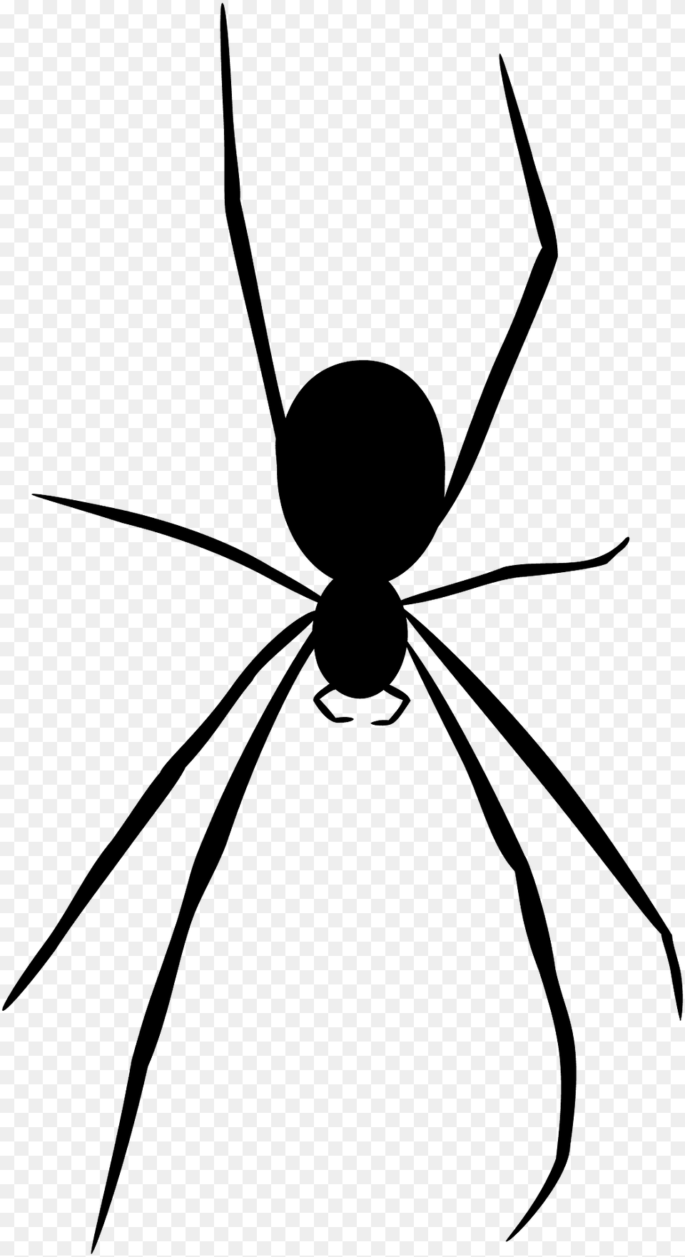 Spider Silhouette, Animal, Invertebrate, Bow, Weapon Free Transparent Png