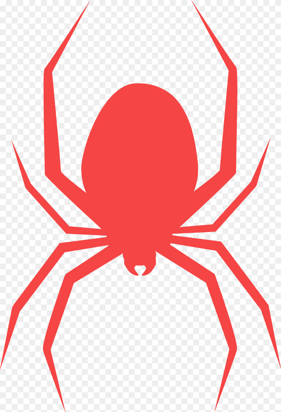 Spider Silhouette, Animal, Bow, Weapon, Invertebrate Free Png Download