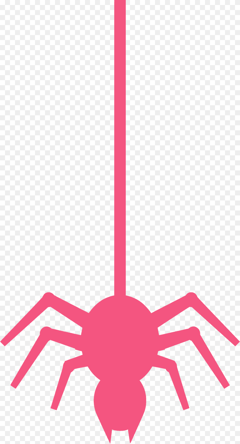 Spider Silhouette, Animal, Invertebrate Png