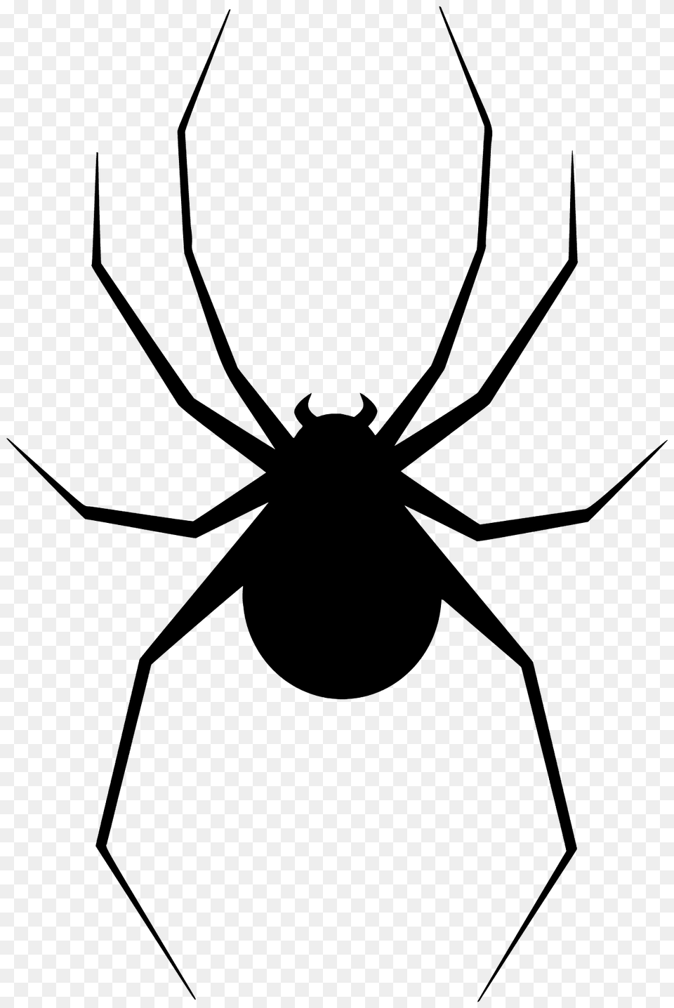 Spider Silhouette, Animal, Invertebrate, Bow, Weapon Png Image