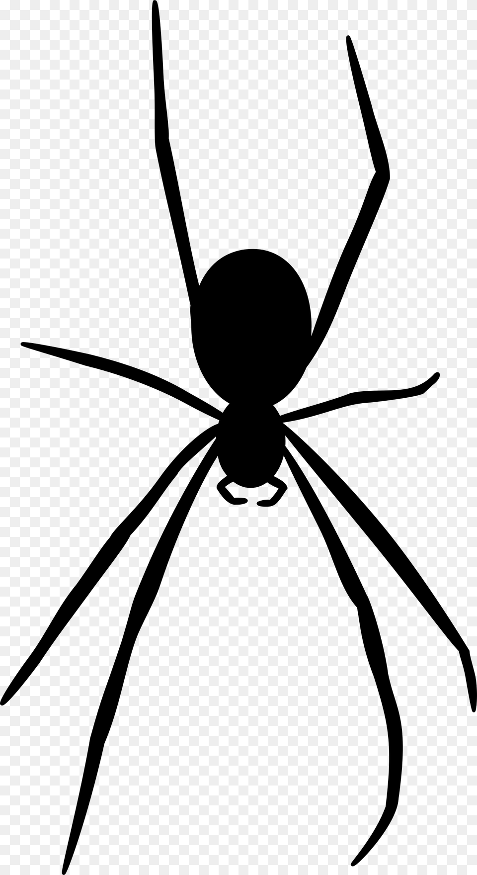 Spider Silhouette At Getdrawings Silhouette Spider, Gray Free Png