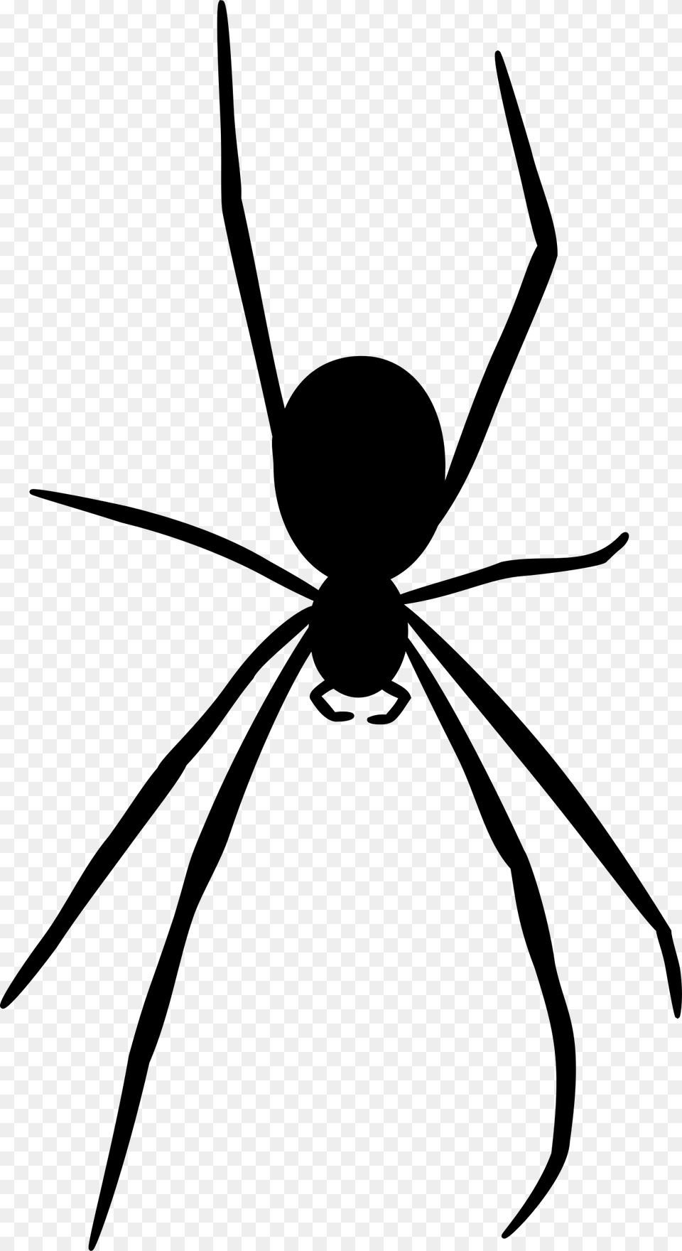 Spider Silhouette Clipart, Gray Png Image