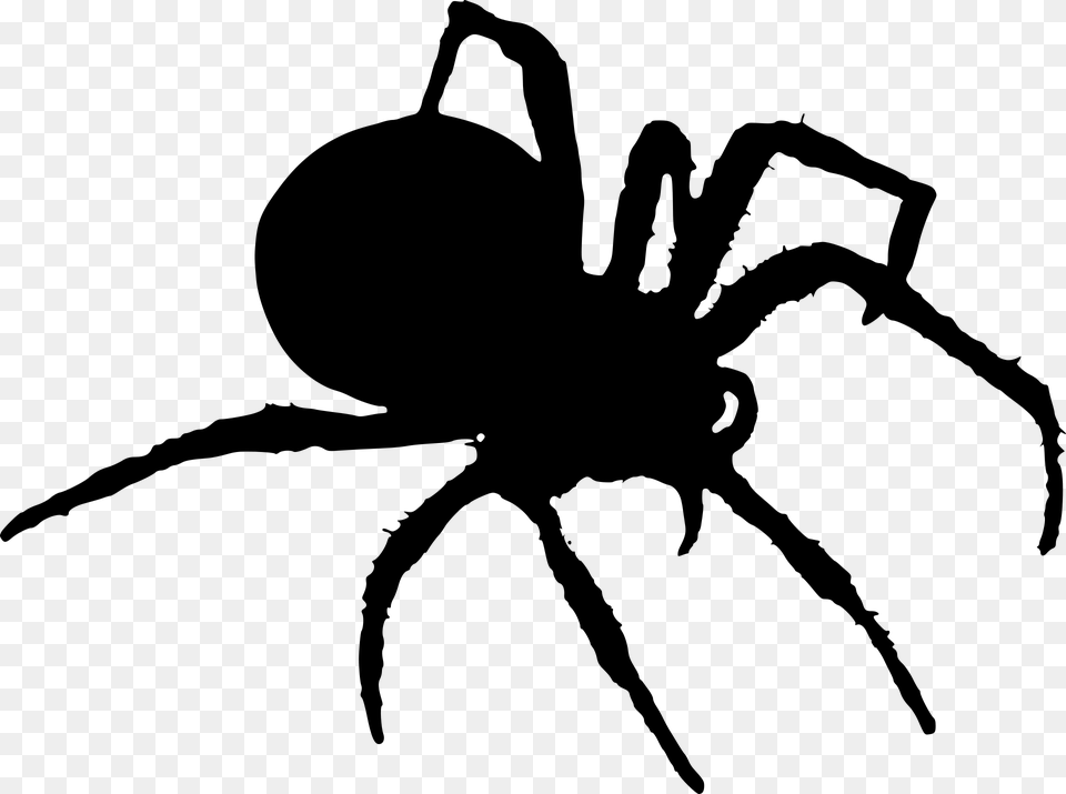 Spider Silhouette Halloween Insects, Gray Free Transparent Png