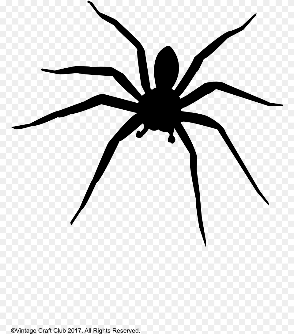 Spider Silhouette Silhouette, Gray Free Png