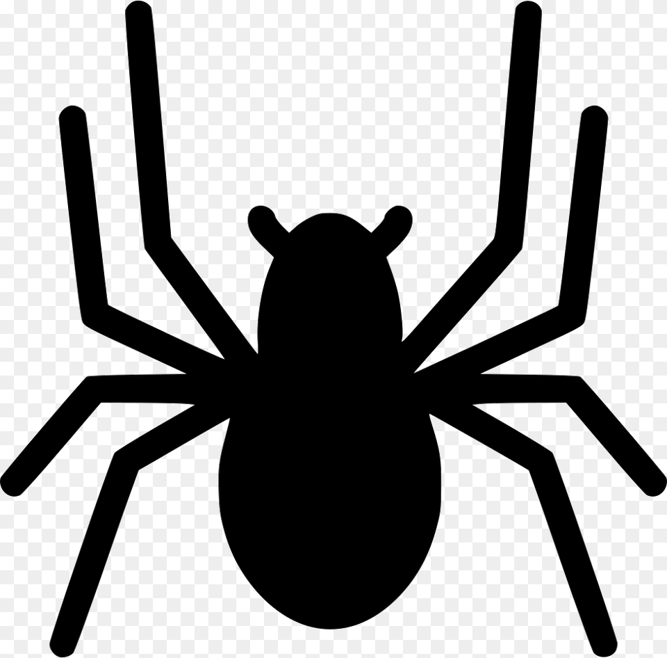 Spider Spider Clipart, Animal, Invertebrate, Bear, Mammal Png