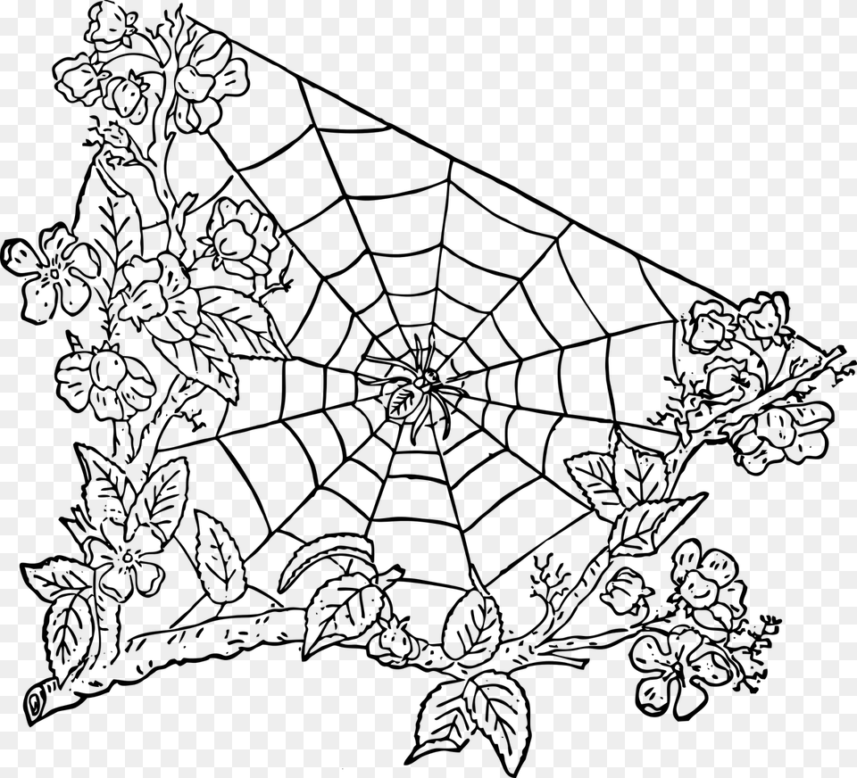 Spider Spider Web Halloween Photo Papel De Parede Teia De Aranha, Gray Png