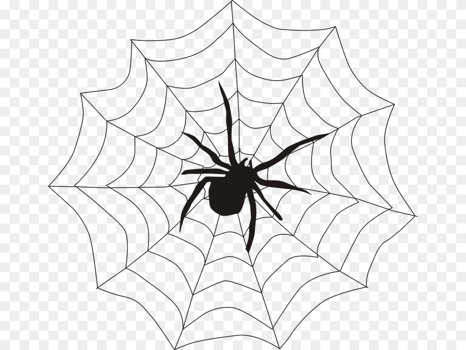 Spider Spider39s Web Spiderweb Cobweb Creepy Spider In Web Drawing, Spider Web, Chandelier, Lamp, Animal Free Transparent Png