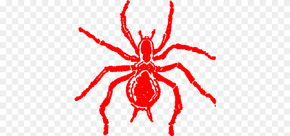Spider Strikes V1n1 I06a Red Spider Seal Red Spider, Animal, Invertebrate Free Png
