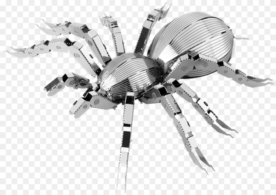 Spider Tarantula Metal Earth Model Kit Insect Metal, Animal, Invertebrate, Aircraft, Airplane Free Transparent Png