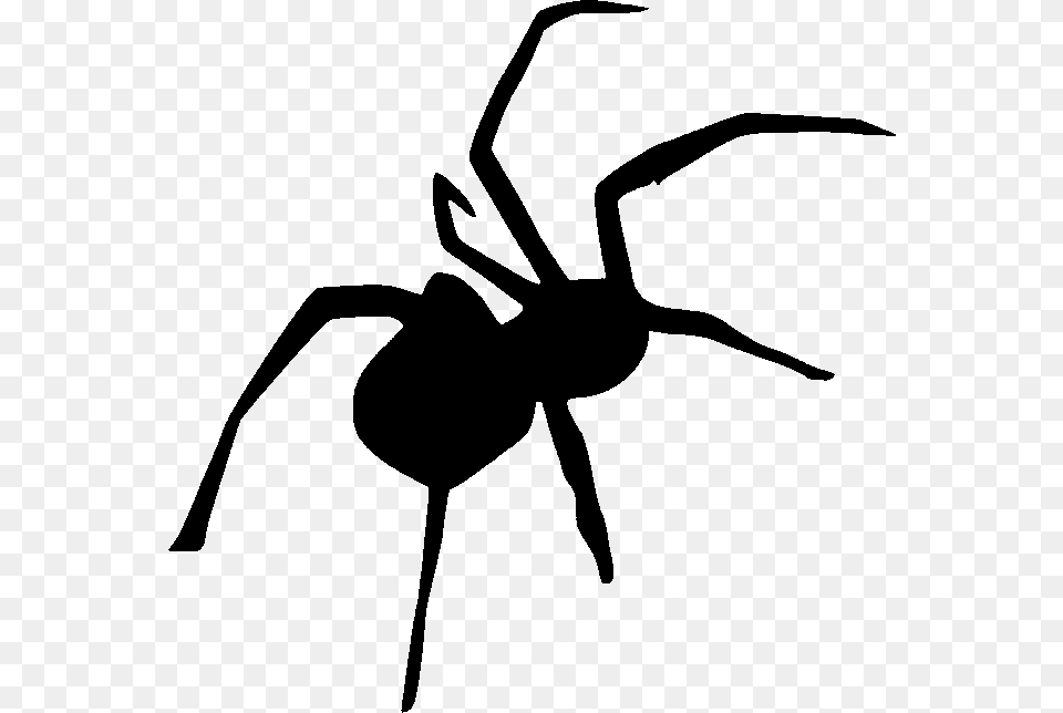 Spider Tattoo, Gray Free Png Download