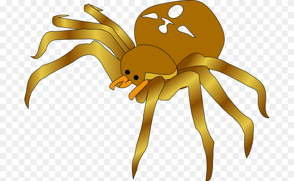 Spider To Use Clip Art Clip Art Of Spider, Animal, Invertebrate, Baby, Person Free Transparent Png