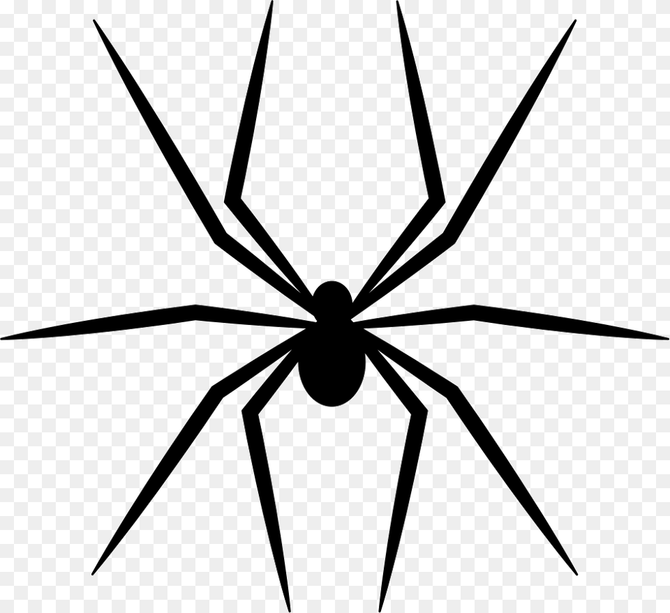 Spider Vector, Animal, Invertebrate, Black Widow, Insect Free Transparent Png