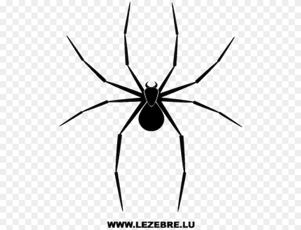 Spider Vector, Animal, Invertebrate, Accessories, Jewelry Free Png Download