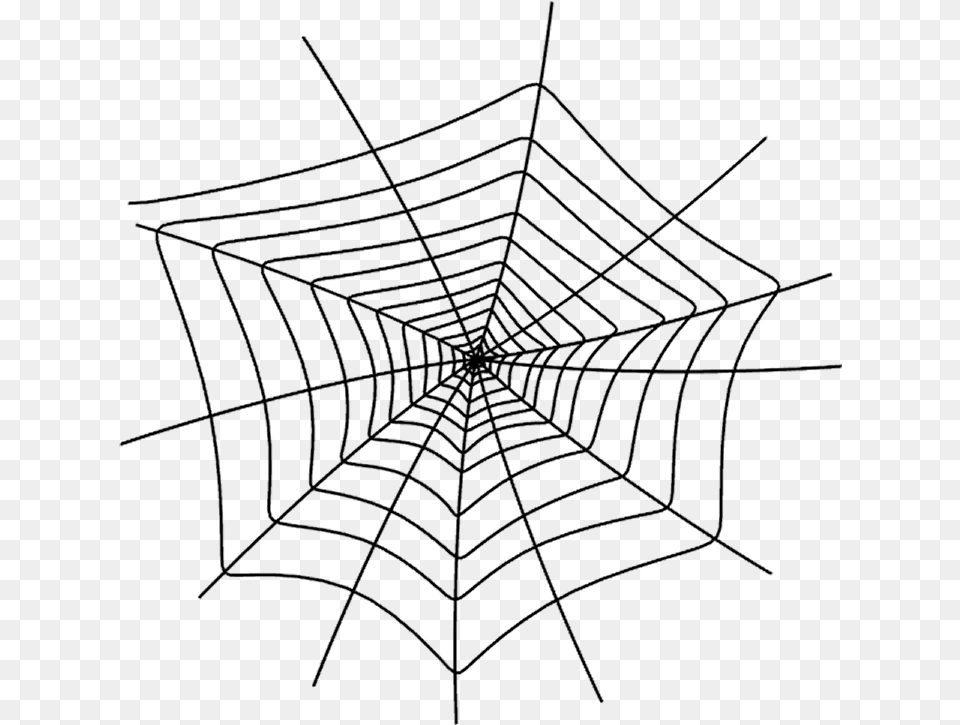 Spider Web, Spider Web Free Png Download