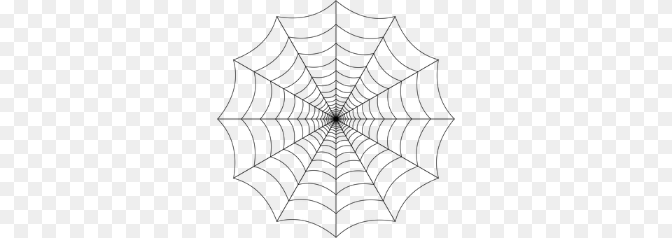 Spider Web Gray Free Png