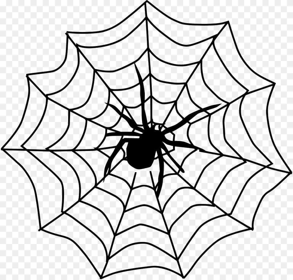 Spider Web, Gray Png Image