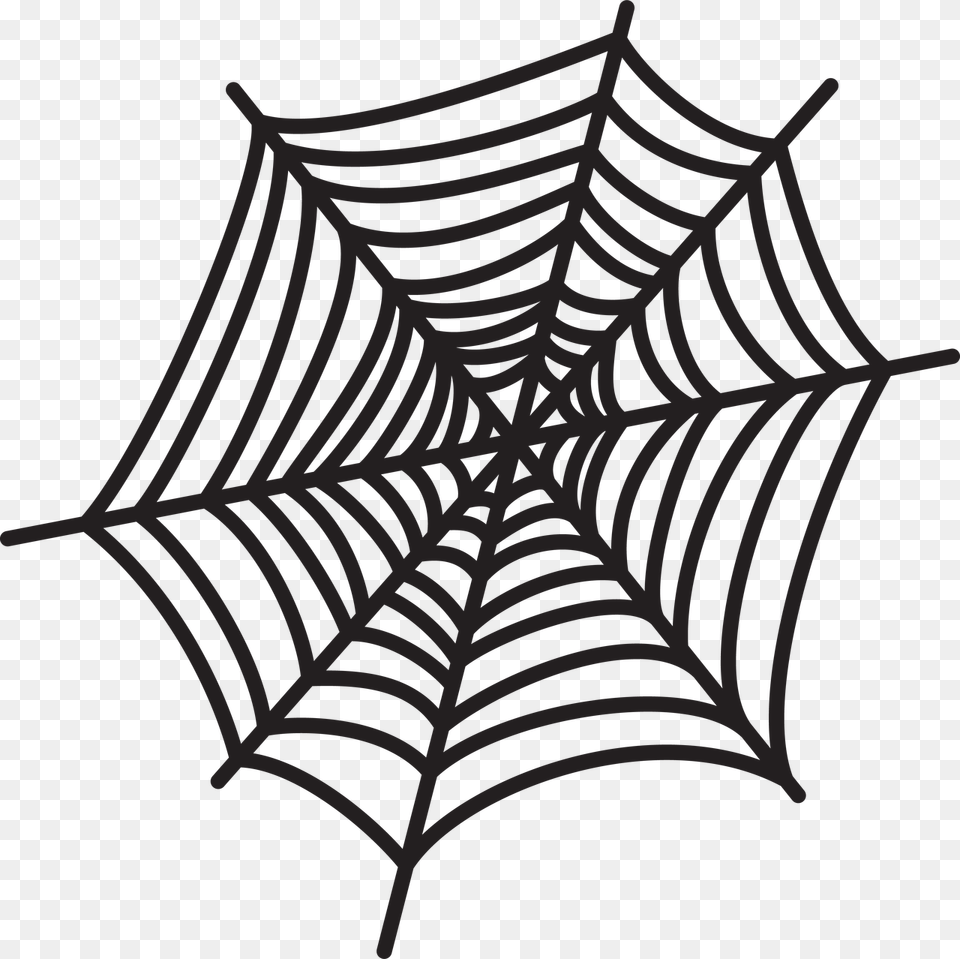 Spider Web, Spider Web, Animal, Mammal, Wildlife Free Png