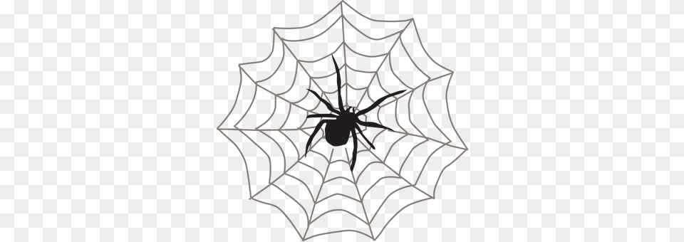 Spider Web Spider Web Free Transparent Png