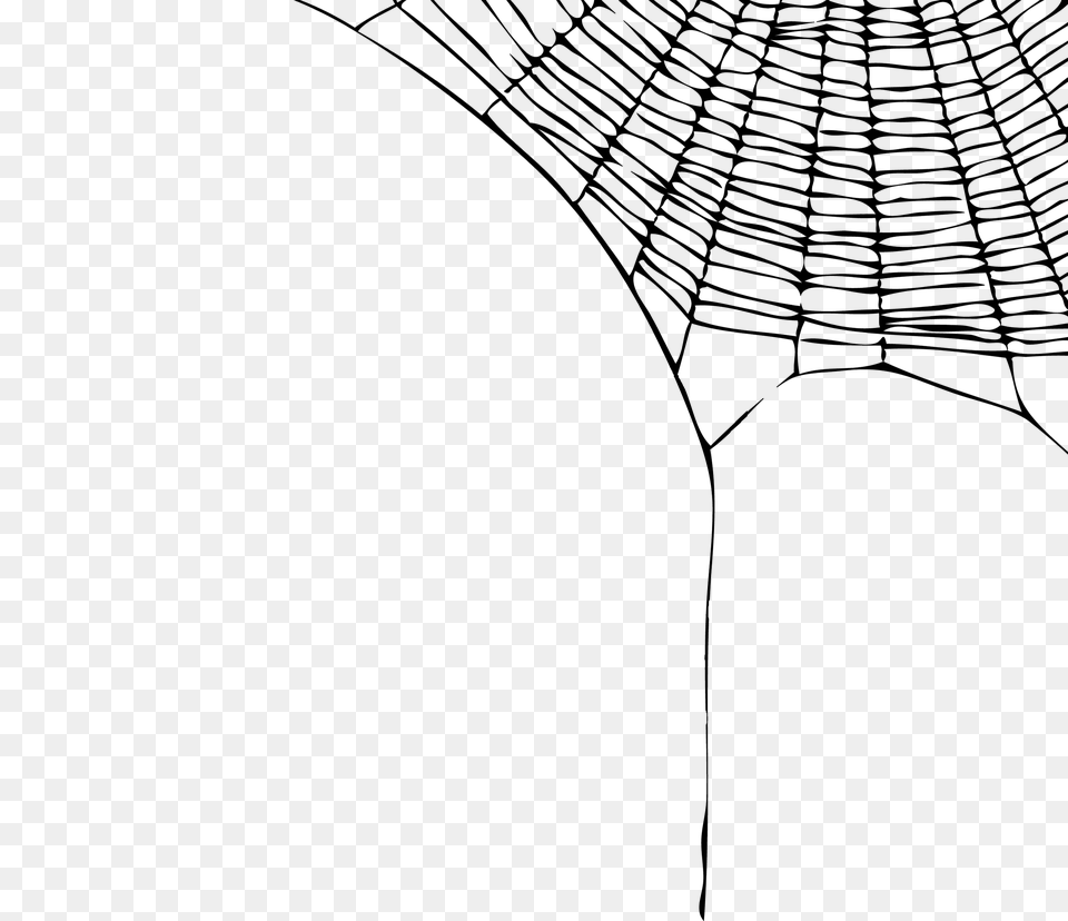 Spider Web, Gray Free Png