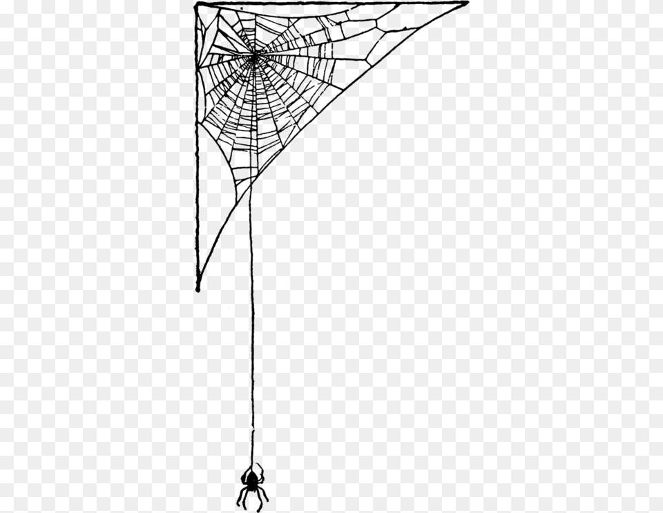 Spider Web Art Pretty Spider Web Art Pretty Spider Web Corner Clipart, Person, Spider Web Free Png