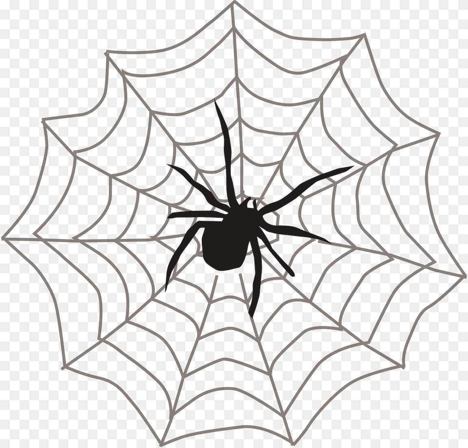 Spider Web Black Arachnid Picture Spider On Web Clipart, Spider Web, Chandelier, Lamp Free Png