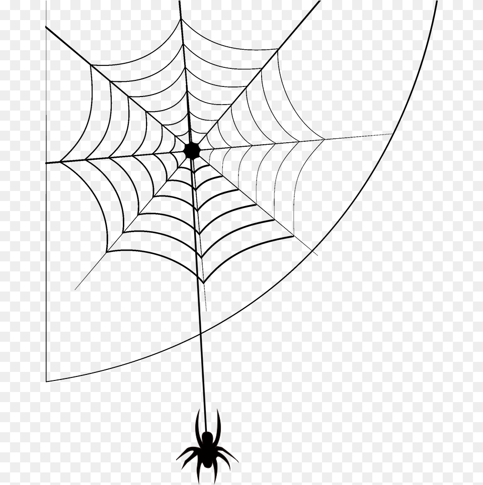 Spider Web Cartoon, Animal, Invertebrate Free Transparent Png