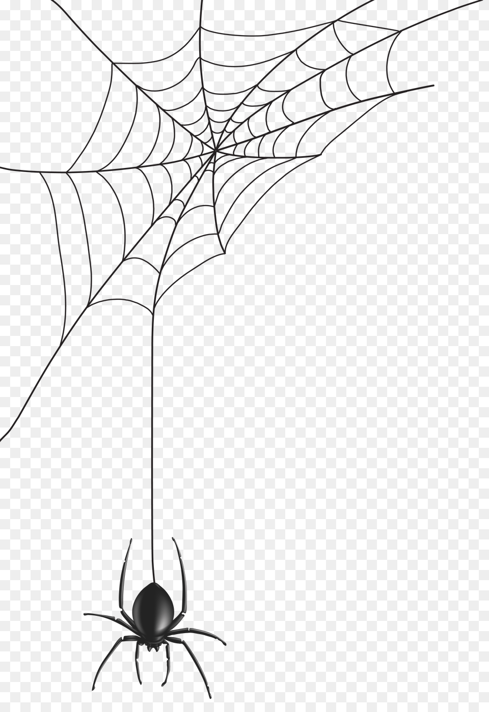 Spider Web Clip Art Png Image