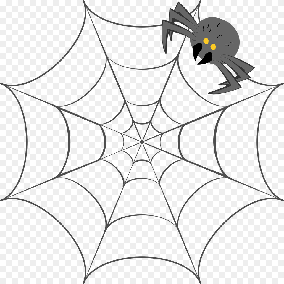 Spider Web Clipart, Spider Web, Animal, Invertebrate Png