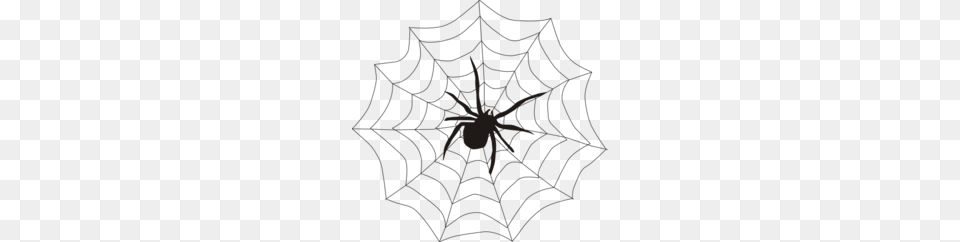 Spider Web Clipart, Spider Web Png