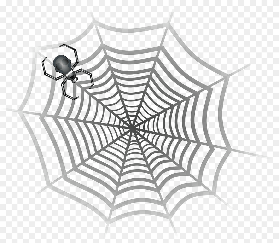 Spider Web Clipart, Spider Web, Animal, Insect, Invertebrate Png Image