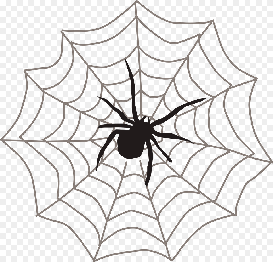 Spider Web Clipart, Animal, Invertebrate Free Png Download