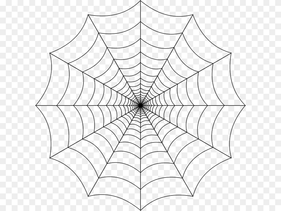 Spider Web Cobweb Spider Web Nature Trap Insect Transparent Background Spiderweb, Gray Png