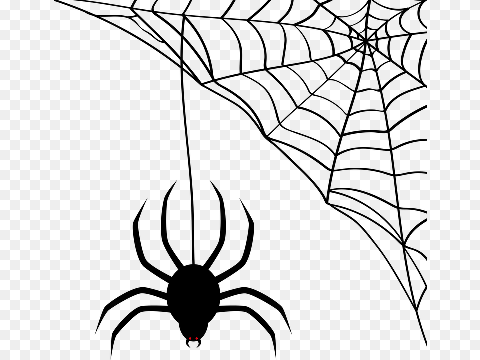 Spider Web Cobweb Transparent Background Spider Web Clipart, Outdoors, Lighting Free Png Download