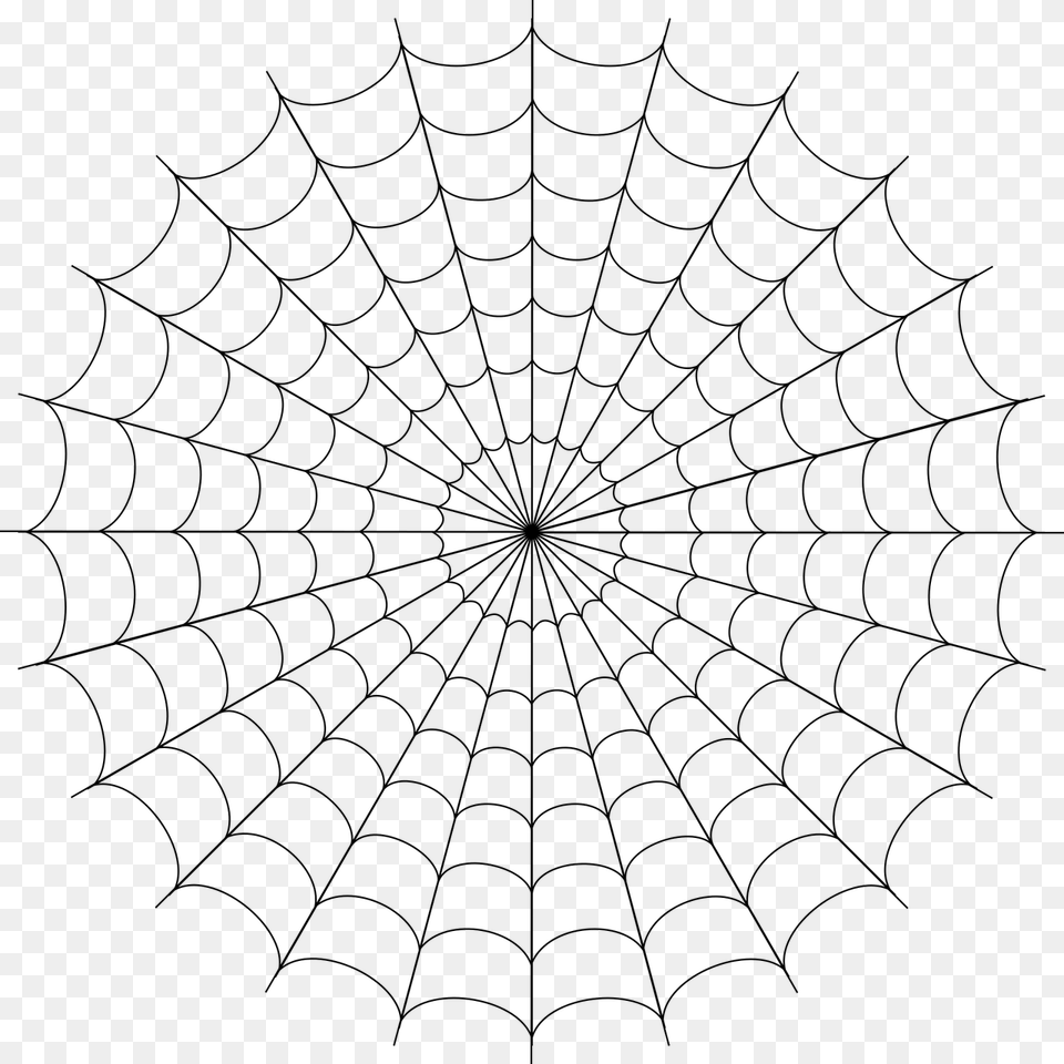 Spider Web Coloring Page, Gray Free Png Download