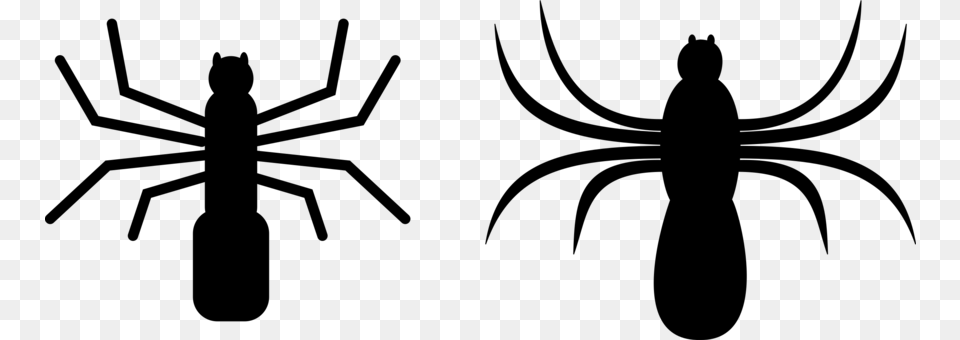 Spider Web Computer Icons Drawing Download, Gray Free Png