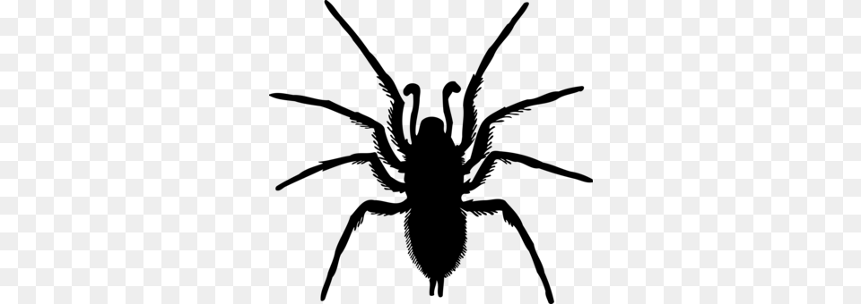 Spider Web Computer Icons Latrodectus Hesperus, Gray Free Transparent Png