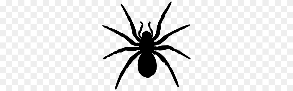 Spider Web Corner Sticker, Animal, Invertebrate Png Image