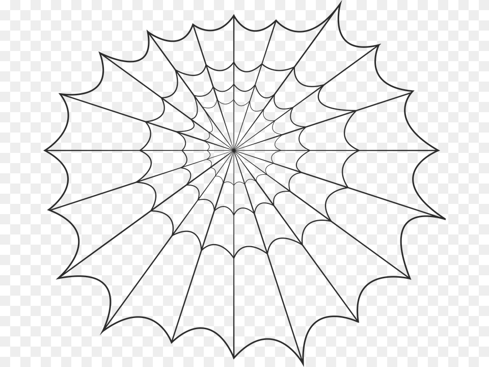 Spider Web Halloween Spooky Horror Bug Insect, Spider Web Png