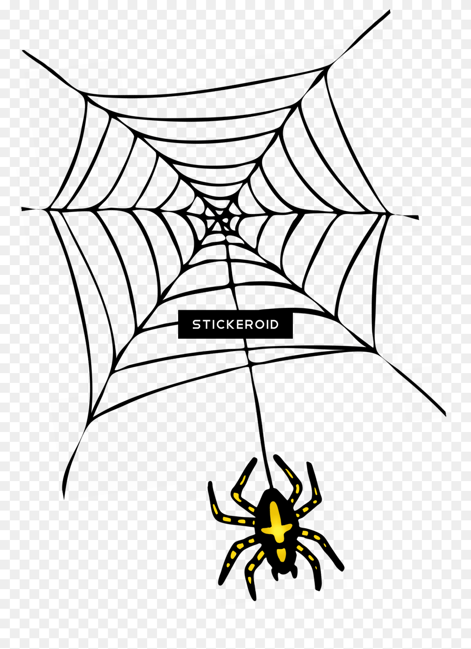 Spider Web Halloween Transparent Black Spider Web Free Png Download