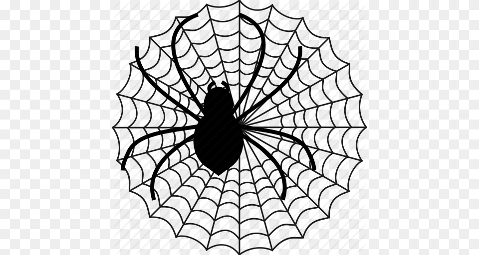 Spider Web Icon, Animal, Garden Spider, Insect, Invertebrate Free Transparent Png