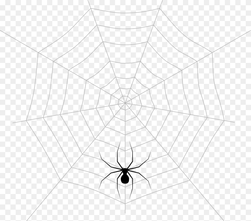 Spider Web Pattern Symmetry Point Angle, Stencil, Logo Free Png Download