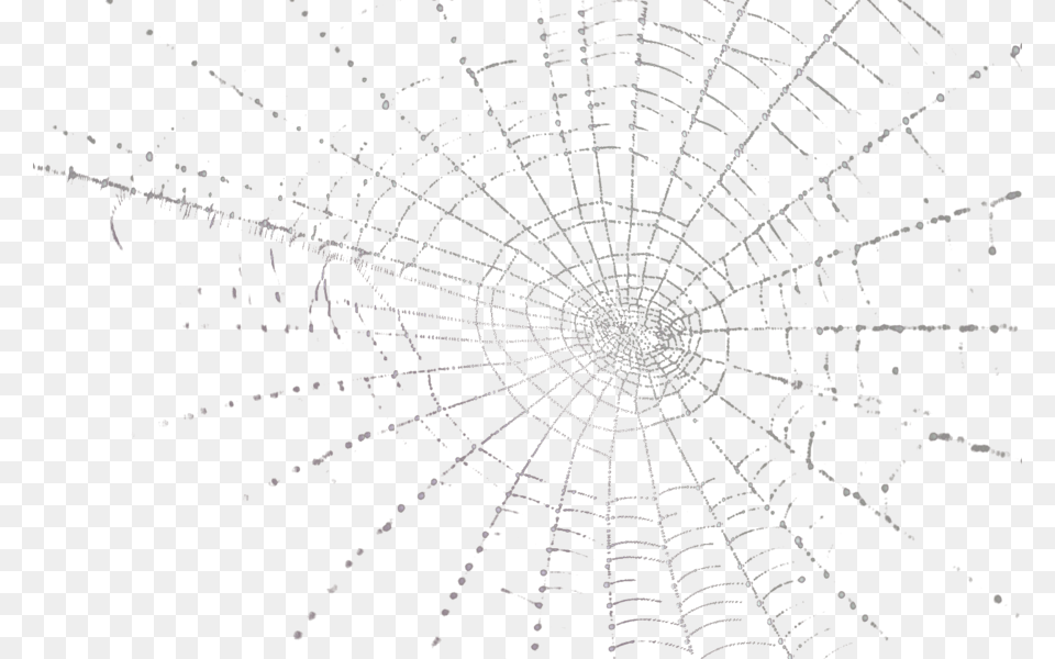 Spider Web Psd, Spider Web Png