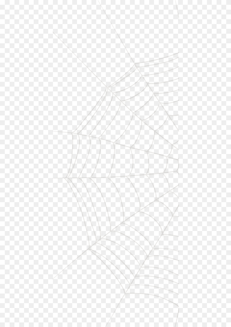Spider Web Small Spider Web Large Mexican Cuisine, Spider Web Png