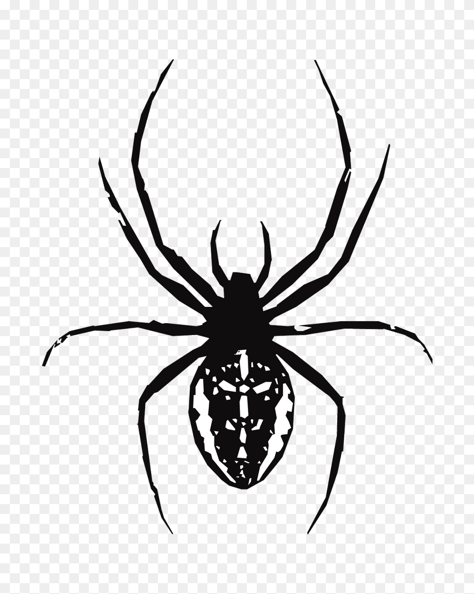 Spider Web Southern Black Widow Clip Art, Animal, Garden Spider, Insect, Invertebrate Png